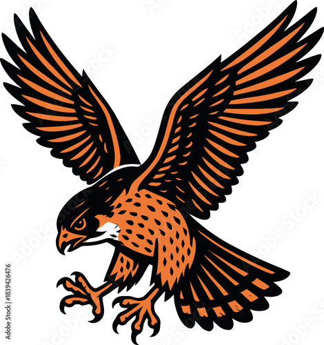 Eagle Hawk Flying Spread Wings Vector Graphic