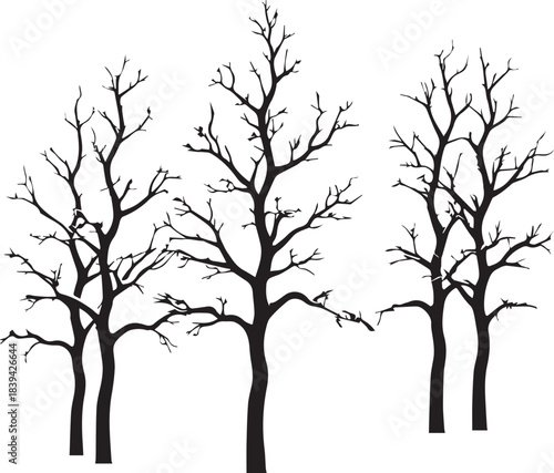 Leafless winter tree silhouettes in a natural forest scene for seasonal design use