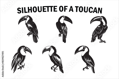 Tropical Toucan Silhouette Collection on White Background