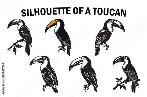 Tropical Toucan Silhouette Collection on White Background