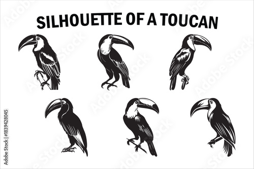 Tropical Toucan Silhouette Collection on White Background