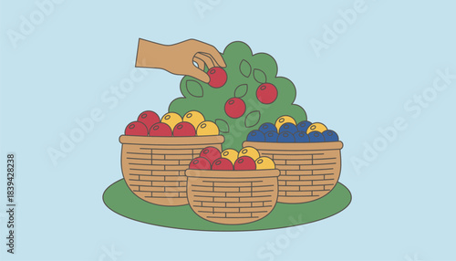 Farmers handpicking ripe berries with baskets filled with colorful organic fruits overflowing beside them.