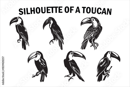 Tropical Toucan Silhouette Collection on White Background