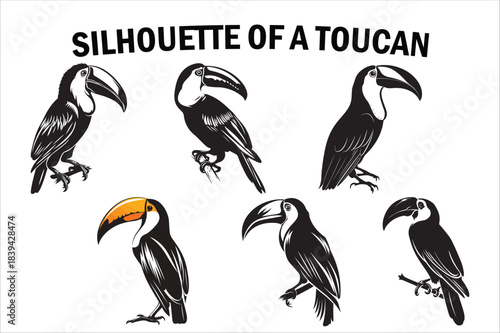 Tropical Toucan Silhouette Collection on White Background