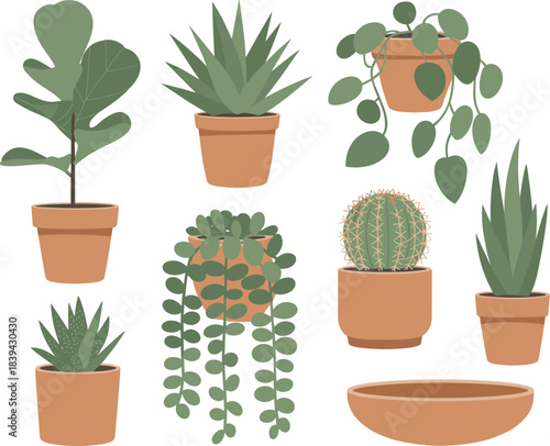 Flat houseplant vector set featuring potted plants, succulents, cactus, watering can, and terracotta pots for botanical design, decor, and gardening projects