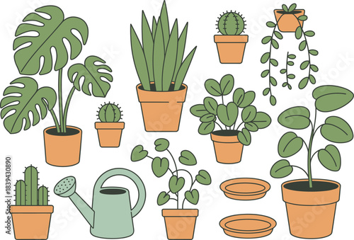 Flat houseplant vector set featuring potted plants, succulents, cactus, watering can, and terracotta pots for botanical design, decor, and gardening projects