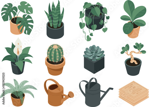 Flat houseplant vector set featuring potted plants, succulents, cactus, watering can, and terracotta pots for botanical design, decor, and gardening projects