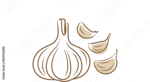 Minimalist garlic illustration with whole garlic bulb and cloves in simple line art style, clean food graphic for cooking and kitchen themes