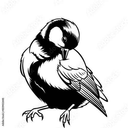 Charming great tit bird illustration in vector art