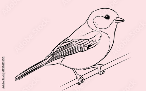 Charming great tit bird illustration in vibrant colors