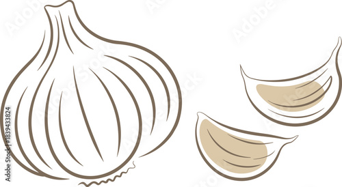 Minimalist garlic illustration with whole garlic bulb and cloves in simple line art style, clean food graphic for cooking and kitchen themes