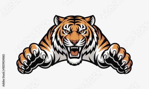 Tiger head vector illustration on white background