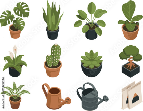 Flat houseplant vector set featuring potted plants, succulents, cactus, watering can, and terracotta pots for botanical design, decor, and gardening projects
