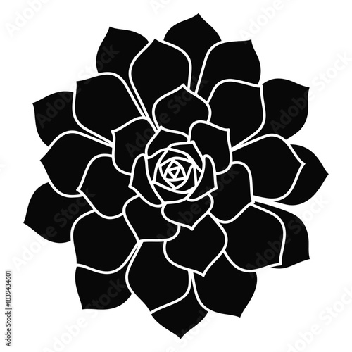 Black succulent plant with intricate petal details a beautiful echeveria succulent silhouette on transparent background perfect for botanical illustrations