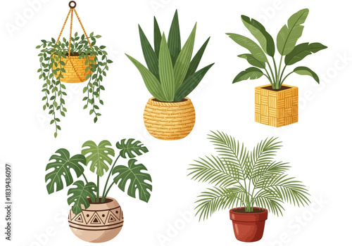 Collection of five potted houseplants with various green foliage, white