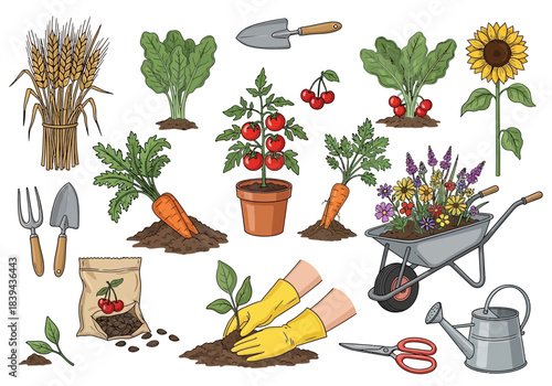 Gardening tools and plants set, harvest illustration
