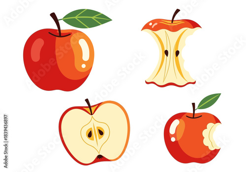 Set of four red apple illustrations whole, half cut, core, and bitten apple