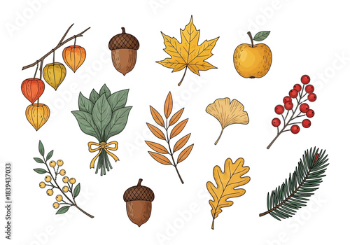 Collection of autumn harvest elements including leaves, acorns, berries, and fruit