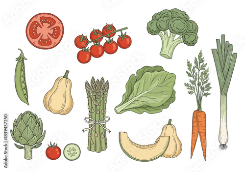 Collection of fresh vegetables and produce, white