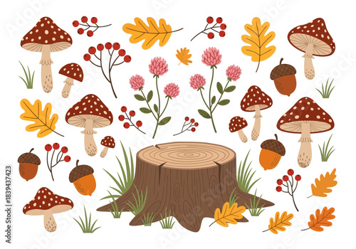 Autumn forest elements set with mushrooms, tree stump, oak leaves, berries, and clover flowers
