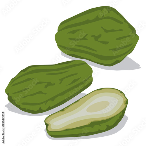 Fresh natural chayote vector drawing.