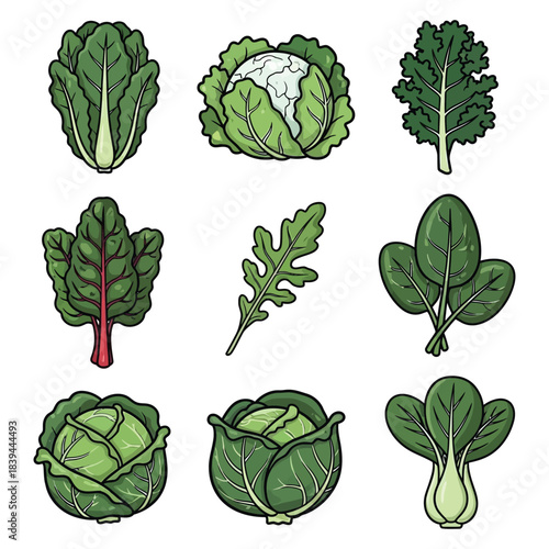 Leafy Greens Clipart Set – 9 Illustrated Salad & Cooking Vegetables for Culinary & Educational Designs