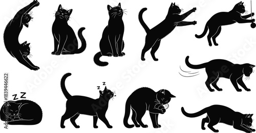 Collection of black cat silhouettes in various playful sleeping and stretching poses