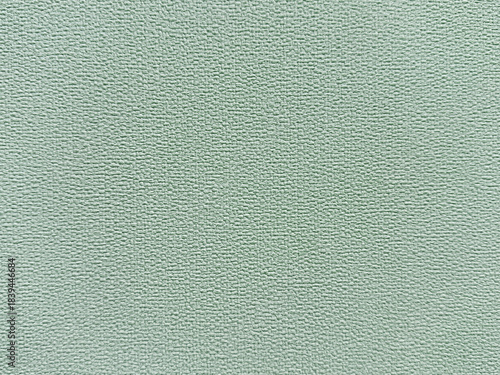 Canvas-taulu Close up of light celadon green wallpaper or fabric