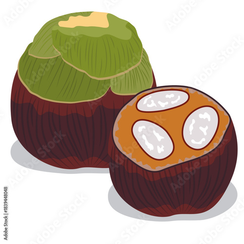 ice apple, Asian palmyra palm.