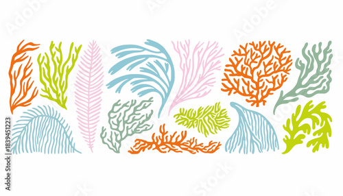 Exquisite collection of vibrant vector sea plants, showcasing colorful coral, kelp, and various seaweed types, perfect for underwater designs and marine-themed graphic projects