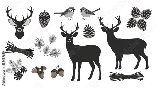 Diverse collection of winter forest animal and plant silhouettes perfect for seasonal design projects