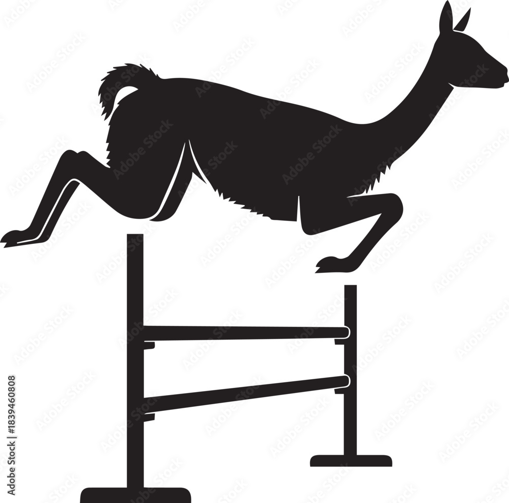 Fototapeta premium Silhouette of a llama jumping over an obstacle in a competition