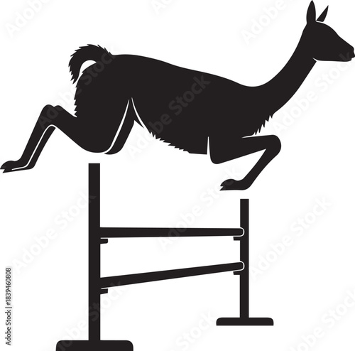 Silhouette of a llama jumping over an obstacle in a competition
