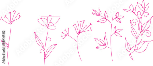 Pink floral line art