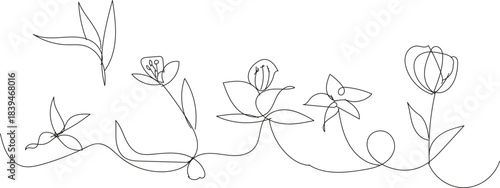 Continuous line drawing of various flowers and leaves