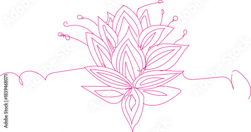 Pink flower outline drawing