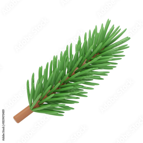 Single fir tree branch with green needles on a  white background 