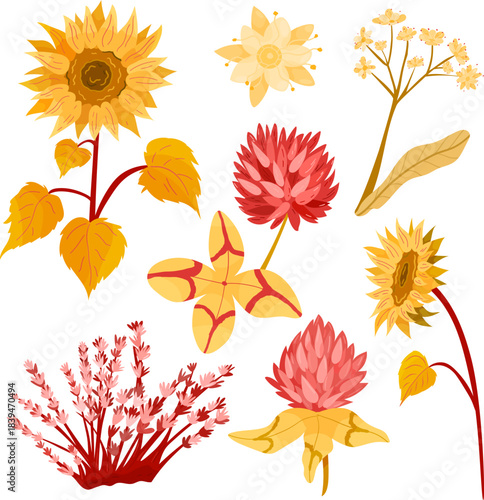A colorful botanical collection of flowers loved by bees, featuring sunflowers, clovers, linden in warm autumn tones. Ideal for eco-themed designs, packaging and seasonal decor projects.