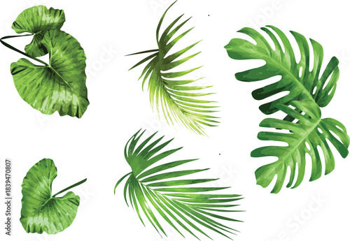 Assortment of Green Tropical Leaves on White Background