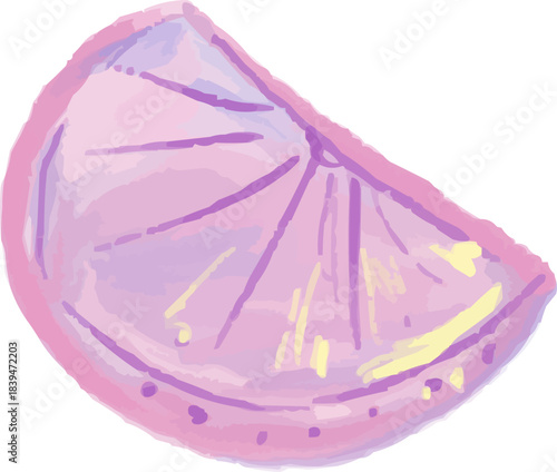 Watercolor Sketchy Isolated Citrus Grapefruit Slice