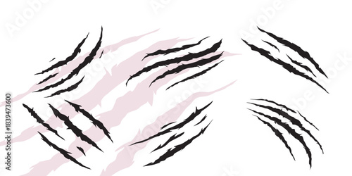 Black claw marks on white background