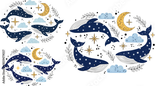 blue and white fishes Dream Living