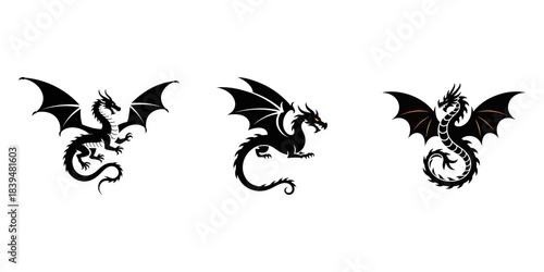 Flying Dragon Silhouette Collection.