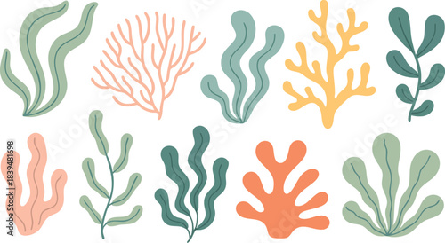 Various cartoon seaweeds and corals vector art illustration isolated on White Background