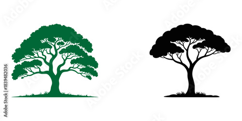 one continuous line drawing of a minimalist tree modern botanical illustration