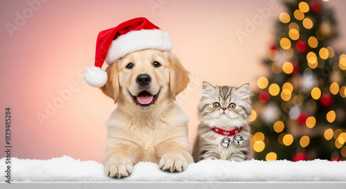 Dog wearing Santa hat and cat with bells, sitting on snow with Christmas tree background, festive concept for celebration and holiday season