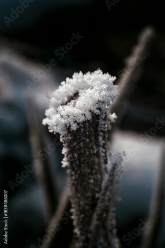 Plakat cold