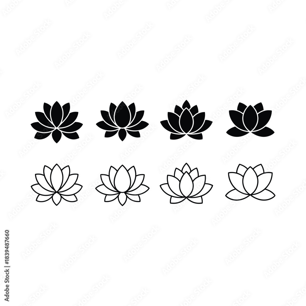 Fototapeta premium Adobe Illustrator Artwork