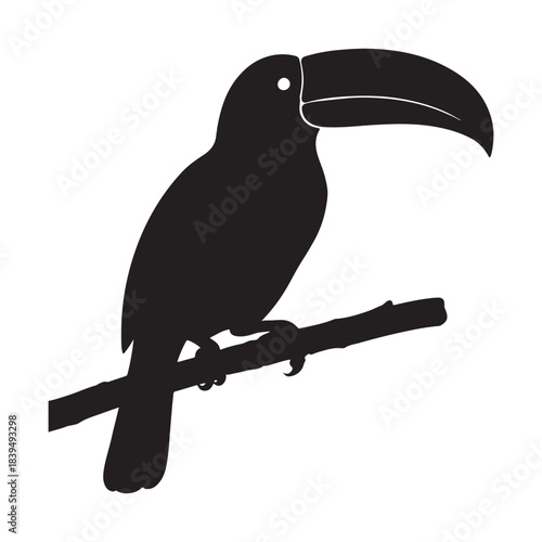 Toucan resting calmly on branch beneath broad tropical curved beak.