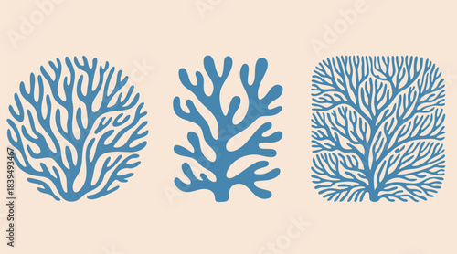Vector Sea Coral Icon Set. Boho Seaweed, Reef Silhouettes. Matisse Style Ocean Simple Plant. Coastal Summer Beach Illustration for Print, Poster, Logo. Naive Art Coral Set. Reef, Algae Organic Shape